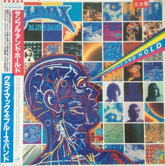 Climax Blues Band - Sample And Hold (Vinyl, LP, Album) Very Good Plus (VG+) / Very Good Plus (VG+)