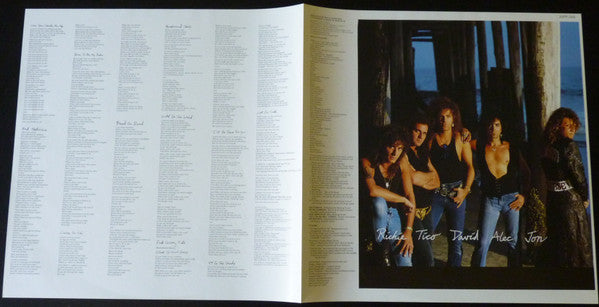 Bon Jovi - New Jersey (Vinyl, LP, Album) Near Mint (NM or M-) / Very Good Plus (VG+)