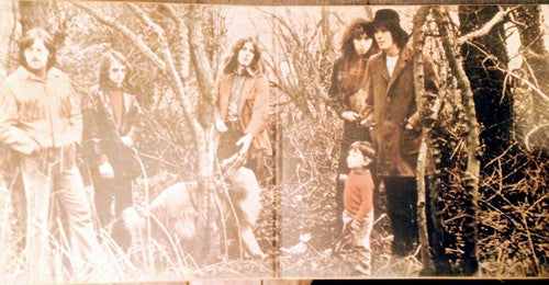 Fairport Convention - Full House (Vinyl, LP, Album) Very Good Plus (VG+) / Very Good Plus (VG+)