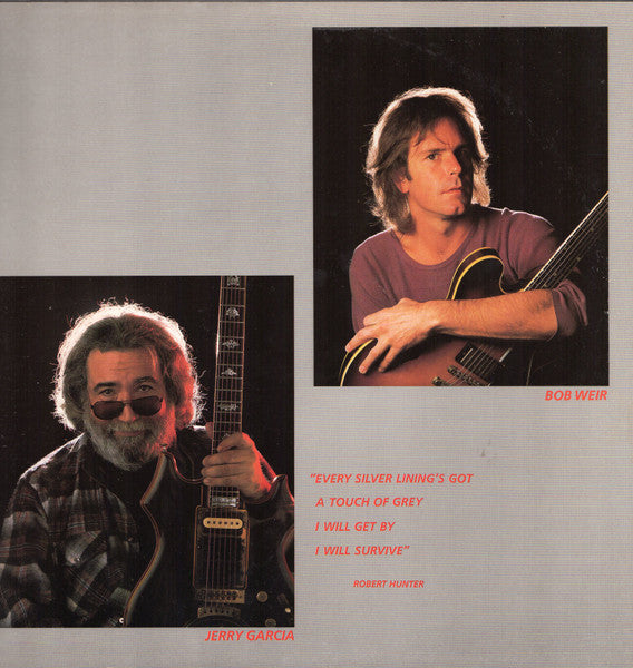 The Grateful Dead - In The Dark (Vinyl, LP, Album, Stereo) Good Plus (G+) / Very Good (VG)