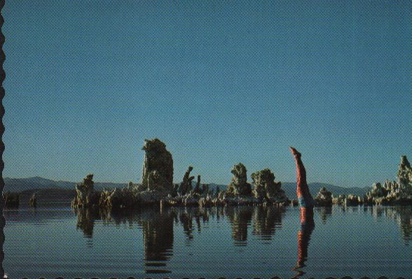 Pink Floyd - Wish You Were Here = 炎 (あなたがここにいてほしい) (Vinyl, LP, Album)