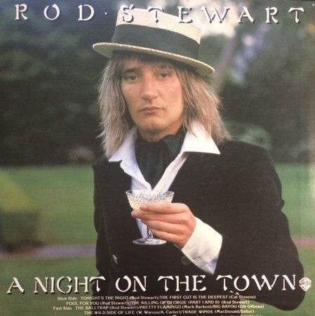 Rod Stewart - A Night On The Town (Vinyl, LP, Album, Reissue)