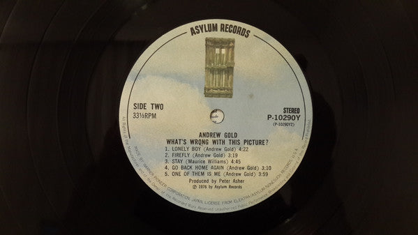 Andrew Gold - What's Wrong With This Picture? (Vinyl, LP, Album) Very Good Plus (VG+) / Very Good (VG)
