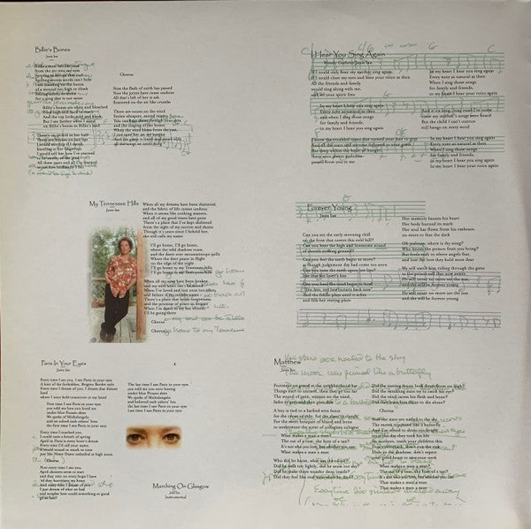 Janis Ian - Billie's Bones (Vinyl, Vinyl, LP, Album, 12", 45 RPM, Stereo) Very Good Plus (VG+) / Near Mint (NM or M-)