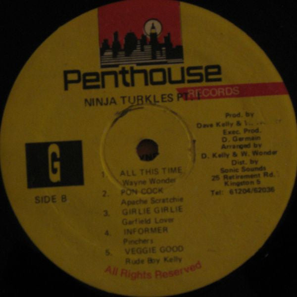 Various - Ninja Turtle (Vinyl, LP, Compilation) Good Plus (G+) / Good Plus (G+)