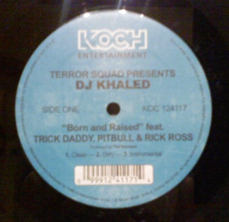 Terror Squad - Born And Raised / Grammy Family (Vinyl, 12") Very Good Plus (VG+) / Very Good Plus (VG+)