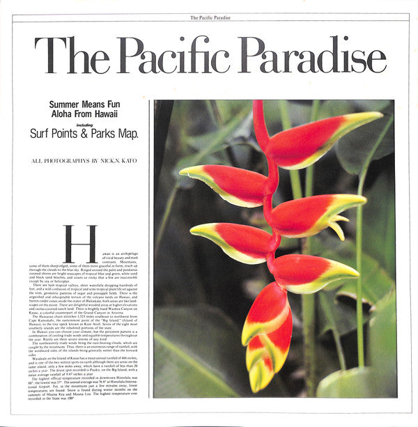 Various - The Pacific Paradise (Vinyl, LP, Compilation) Near Mint (NM or M-) / Very Good Plus (VG+)