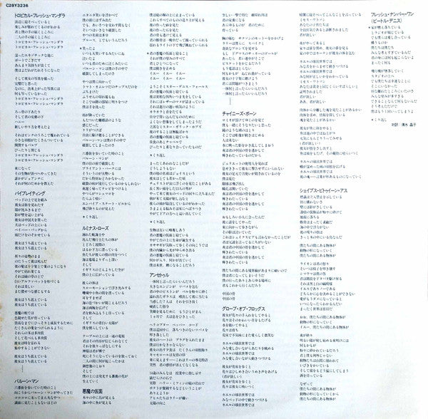 Robyn Hitchcock & The Egyptians - Globe Of Frogs (Vinyl, LP, Album, Promo) Very Good Plus (VG+) / Very Good Plus (VG+)