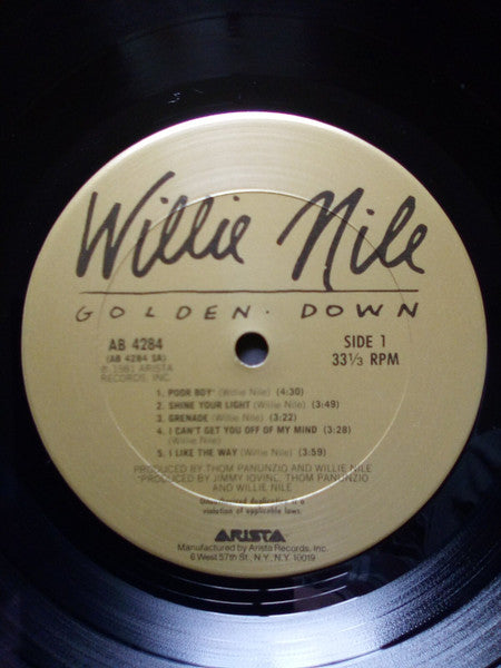 Willie Nile - Golden Down (Vinyl, LP, Album) Very Good Plus (VG+) / Very Good Plus (VG+)