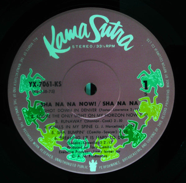 Sha Na Na - Sha Na Now (Vinyl, LP) Very Good Plus (VG+) / Very Good (VG)