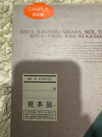 Hideaki Tokunaga - Birds (Vinyl, LP, Album, Promo, Stereo) Very Good Plus (VG+) / Very Good (VG)