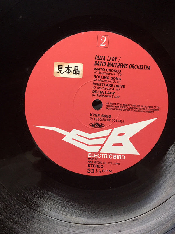 David Matthews Orchestra - Delta Lady (Vinyl, LP, Album, Promo) Very Good Plus (VG+) / Very Good Plus (VG+)