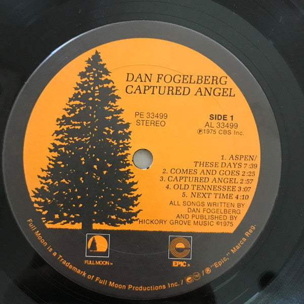 Dan Fogelberg - Captured Angel (Vinyl, LP, Album) Very Good Plus (VG+) / Very Good (VG)