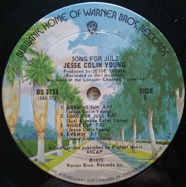 Jesse Colin Young - Song For Juli (Vinyl, LP, Album) Good Plus (G+) / Very Good (VG)