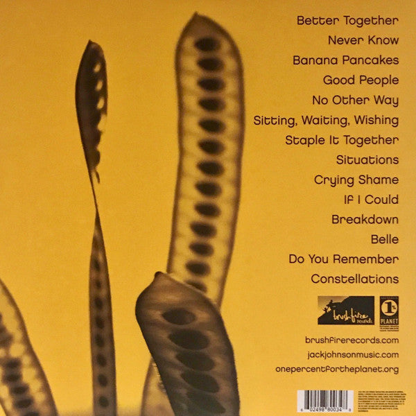 Jack Johnson - In Between Dreams (Vinyl, LP, Album) Near Mint (NM or M-) / Near Mint (NM or M-)