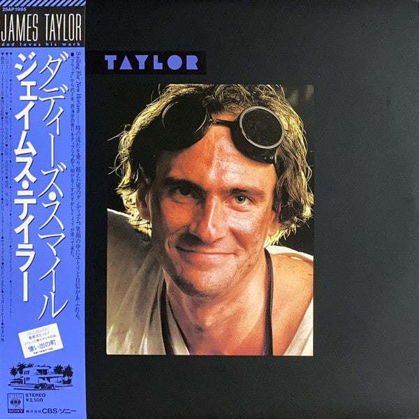 James Taylor (2) - Dad Loves His Work (Vinyl, LP, Album)