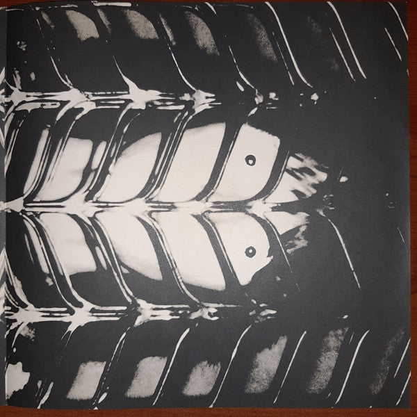Chris Squire - Fish Out Of Water (Vinyl, LP, Album) Near Mint (NM or M-) / Very Good Plus (VG+)