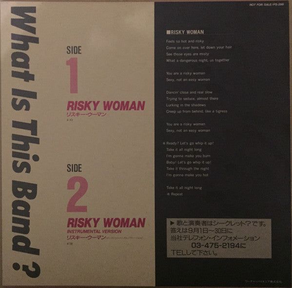 Loudness (5) - Risky Woman (Vinyl, 12", 45 RPM, Single, Promo) Very Good Plus (VG+) / Very Good Plus (VG+)