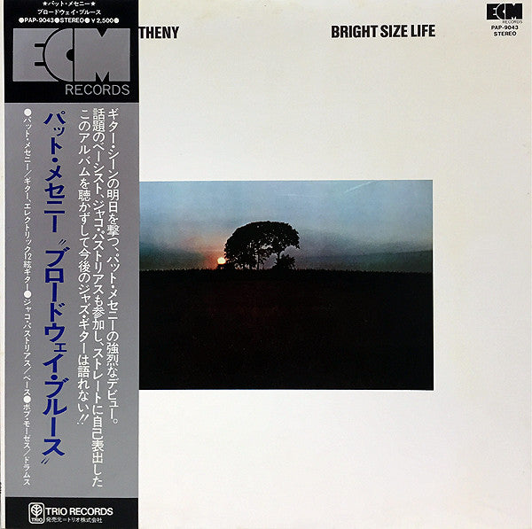 Pat Metheny - Bright Size Life (Vinyl, LP, Album) Very Good (VG) / Good (G)