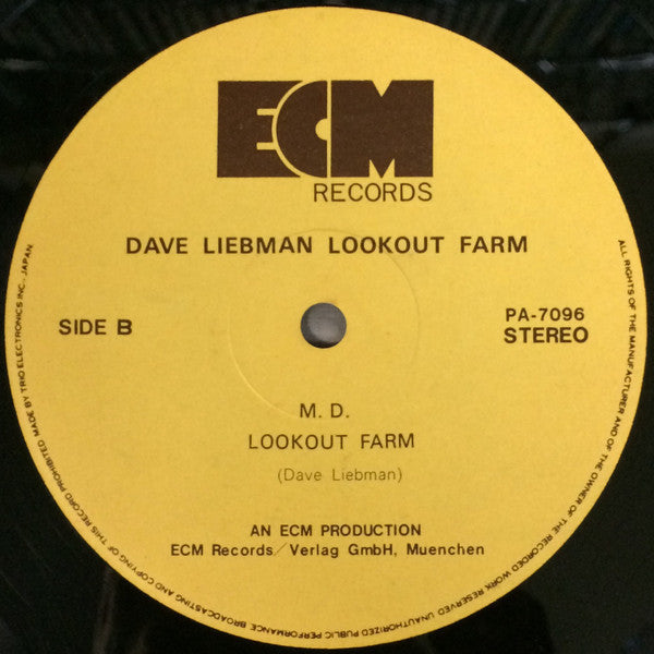 David Liebman - Lookout Farm (Vinyl, LP, Album)