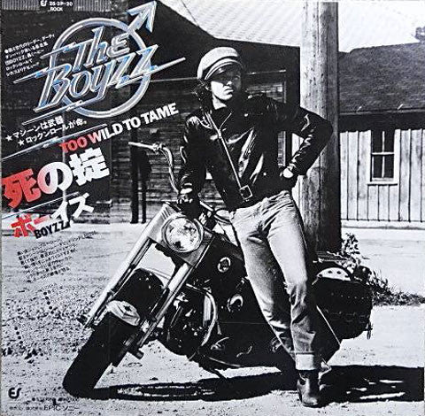 The Boyzz - Too Wild To Tame (Vinyl, LP, Album) Very Good Plus (VG+) / Good (G)