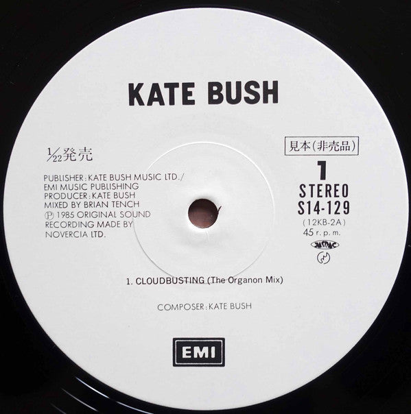 Kate Bush - Cloudbusting (Vinyl, 12", Promo) Very Good Plus (VG+) / Very Good Plus (VG+)