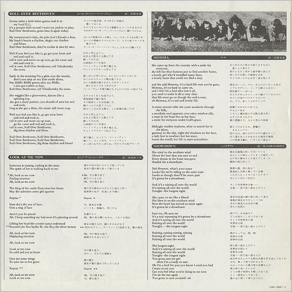Electric Light Orchestra - The Light Shines On (Vinyl, LP, Compilat...