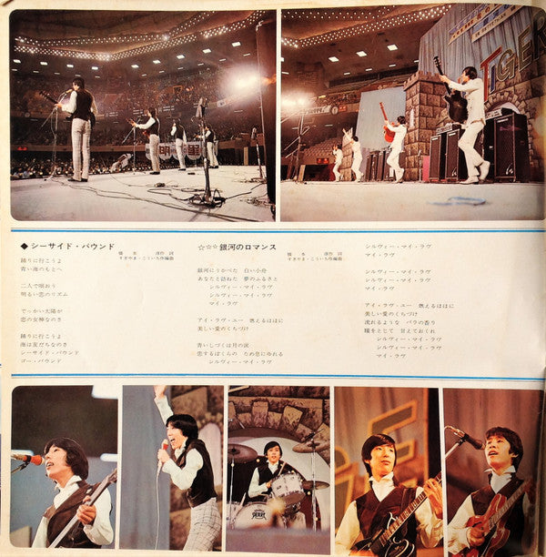 The Tigers (2) - The World Is Waiting For Us (Vinyl, LP, Album, Stereo) Good Plus (G+) / Very Good (VG)
