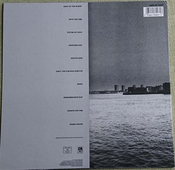 Bryan Adams - Into The Fire (Vinyl, LP, Album) Very Good Plus (VG+) / Very Good Plus (VG+)