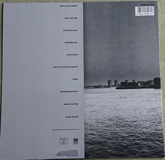 Bryan Adams - Into The Fire (Vinyl, LP, Album) Very Good Plus (VG+) / Very Good Plus (VG+)