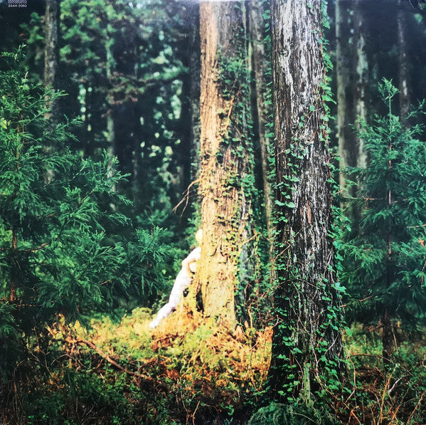 Ken Muramatsu - 夏のぽけっとに (Vinyl, LP, Album) Very Good (VG) / Very Good (VG)