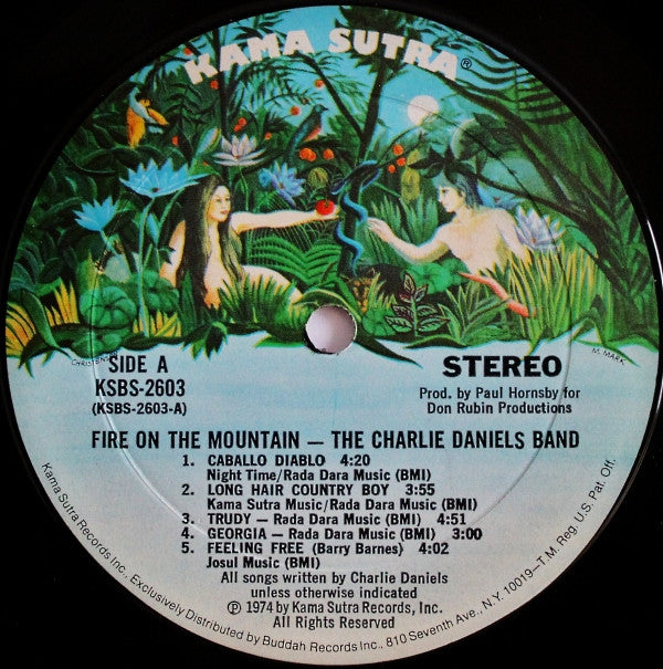 The Charlie Daniels Band - Fire On The Mountain (Vinyl, LP, Album) Good Plus (G+) / Very Good Plus (VG+)