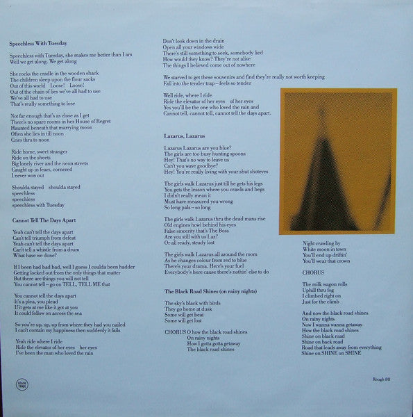 The Apartments - The Evening Visits....And Stays For Years (Vinyl, LP, Album) Very Good (VG) / Very Good Plus (VG+)