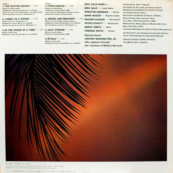 Eric Gale - In The Shade Of A Tree (Vinyl, LP, Album)