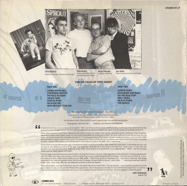 Surfin Dave And The Absent Legends - In Search Of A Decent Haircut (Vinyl, LP, Album) Very Good Plus (VG+) / Very Good Plus (VG+)
