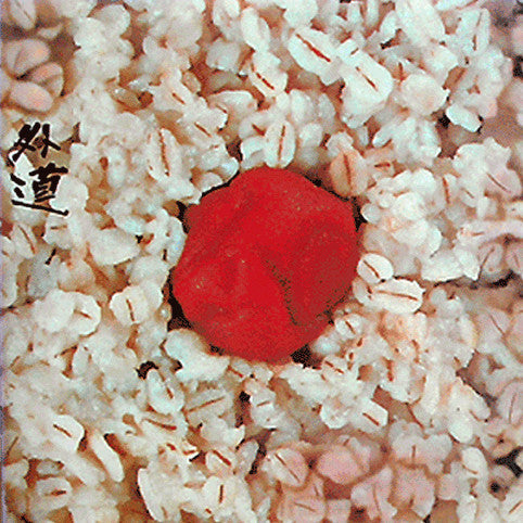 Gedo (2) - 外道 (Vinyl, LP, Album, Reissue) Very Good Plus (VG+) / Good Plus (G+)