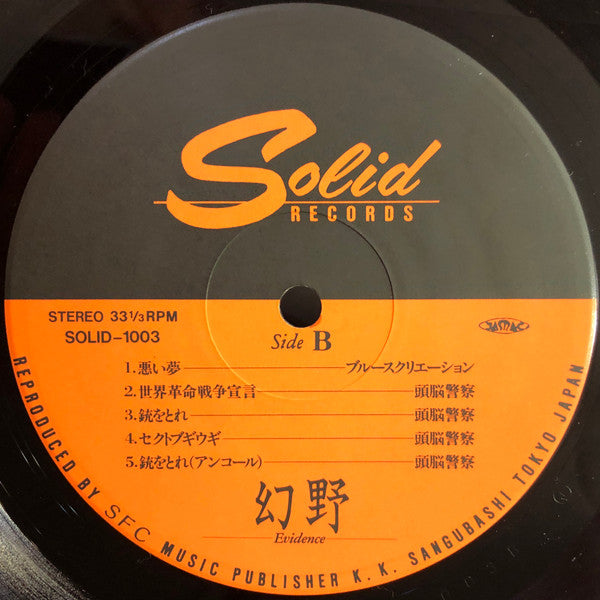 Various - 幻野 Evidence (Vinyl, LP, Compilation) Very Good Plus (VG+) / Very Good Plus (VG+)