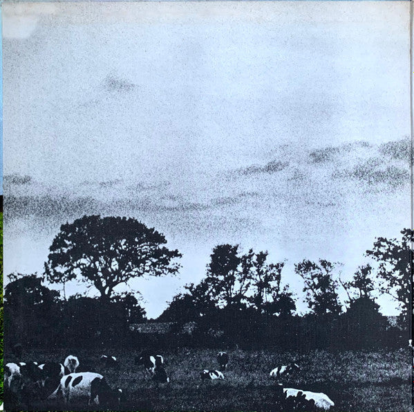 Pink Floyd - Atom Heart Mother = 原子心母 (Vinyl, LP, Album, Reissue, S...
