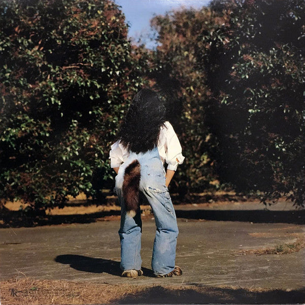 Akiko Yano - ごはんができたよ = Gohan Ga Dekitayo (Vinyl, LP, Album)
