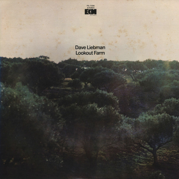 David Liebman - Lookout Farm (Vinyl, LP, Album)