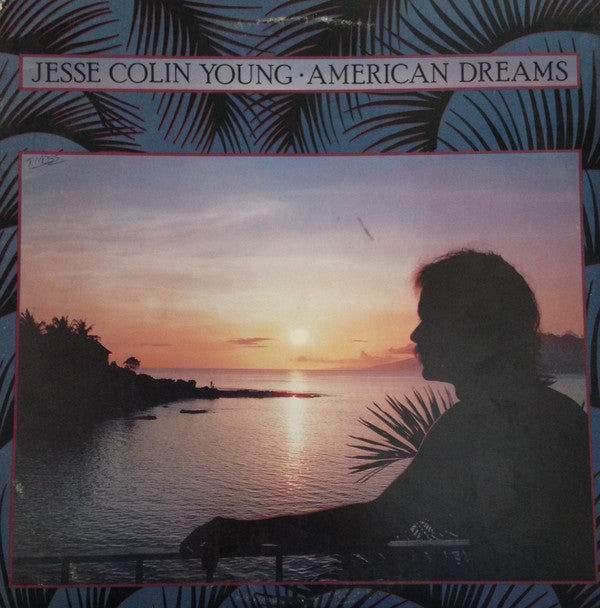 Jesse Colin Young - American Dreams (LP, Album, Reissue) - Very Good Plus (VG+) / Very Good (VG)
