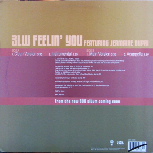 3LW - Feelin' You (Vinyl, 12", Promo, 33 ⅓ RPM) Mint (M) / Mint (M)