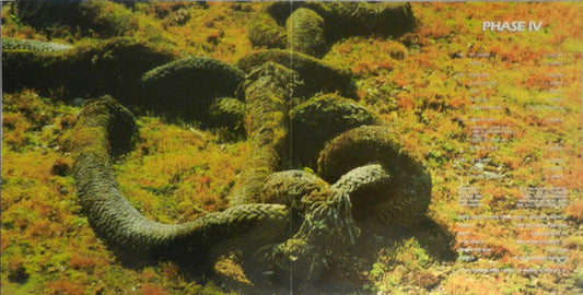 Art Zoyd - Phase IV (2xVinyl, LP, Album) Near Mint (NM or M-) / Near Mint (NM or M-)