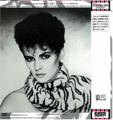 Sheena Easton - Todo Me Recuerda A Ti (Vinyl, LP)