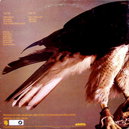 Dave Valentin - The Hawk (Vinyl, LP, Album) Very Good (VG) / Poor (P)