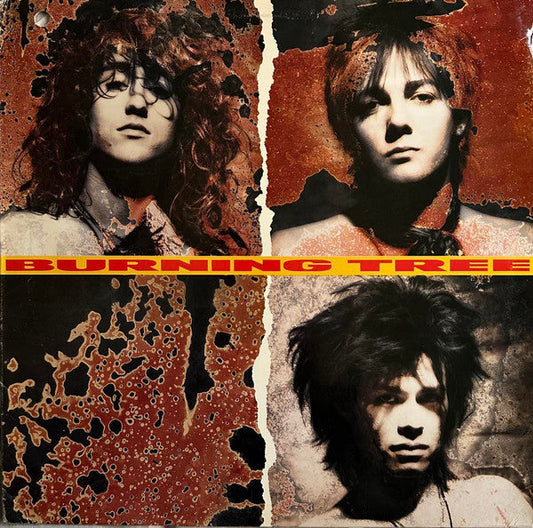 Burning Tree - Burning Tree (Vinyl, LP, Album) Very Good Plus (VG+) / Very Good Plus (VG+)