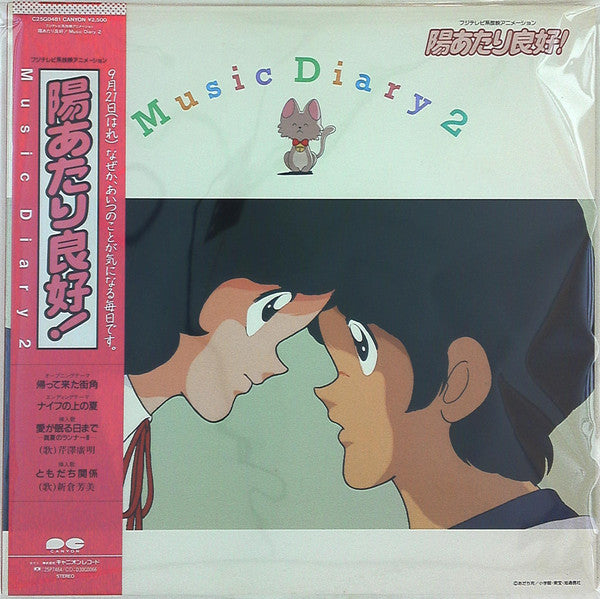 Hiroaki Serizawa - 陽あたり良好! Music Diary 2 (Vinyl, LP) Very Good Plus (VG+) / Very Good (VG)