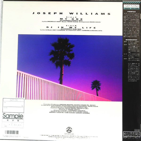 Joseph Williams - My One / DJ In My Life (Vinyl, 12", 45 RPM, Promo) Very Good Plus (VG+) / Good Plus (G+)