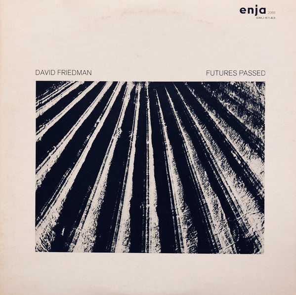 David Friedman - Futures Passed (Vinyl, LP, Album, Promo) Near Mint (NM or M-) / Very Good Plus (VG+)