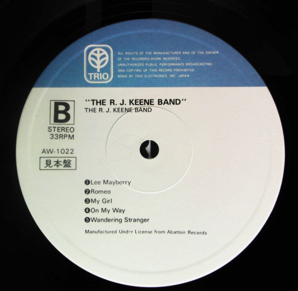 The R.J. Keen Band - The R.J. Keen Band (Vinyl, LP, Album, Promo) Very Good Plus (VG+) / Very Good (VG)